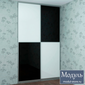 Черно-белые двери купе