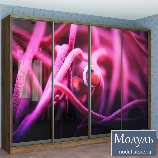 Шкаф купе Женева-42