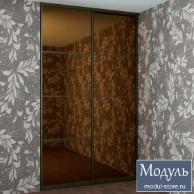 Дверь купе лофт