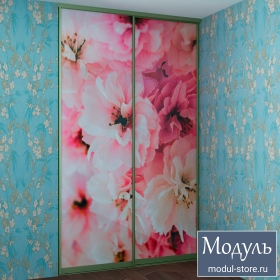 Двери купе с фотопечатью