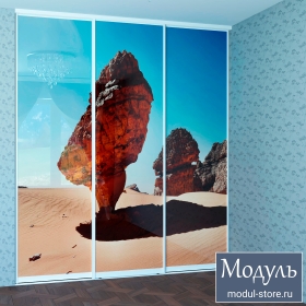 Двери межкомнатная с рисунком