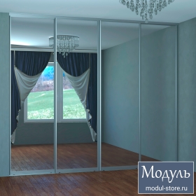 Двери купе с зеркалом