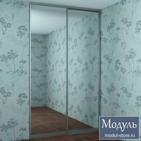 Зеркальные двери купе